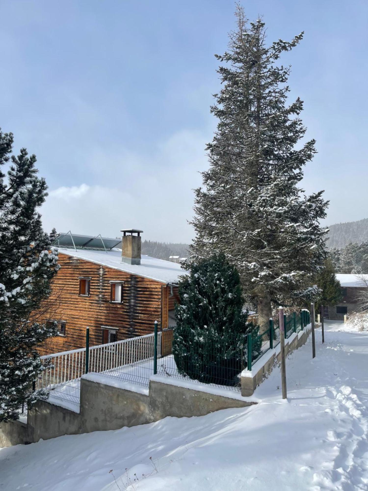 Chalet Isard Pyrenees 2000 - 300M Des Pistes Bolquere Pyrenees 2000 Esterno foto